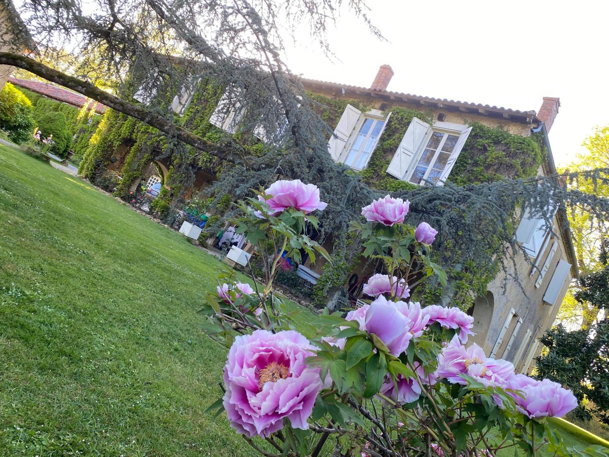 La Seigneurie De Tillac Exterior photo